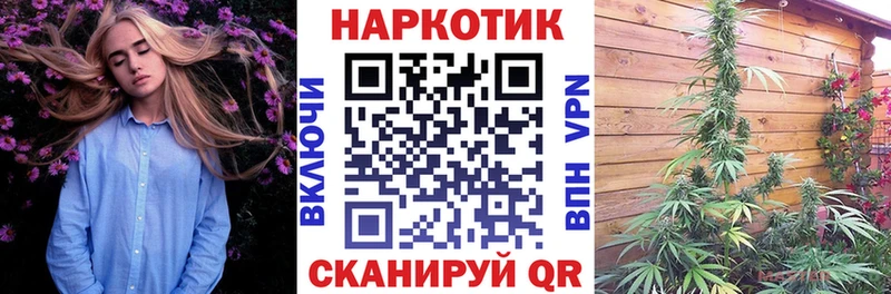 Какие есть наркотики Звенигород ГАШ  СК  КОКАИН  Псилоцибиновые грибы  Конопля  МЕГА зеркало  Мефедрон  Бутират 