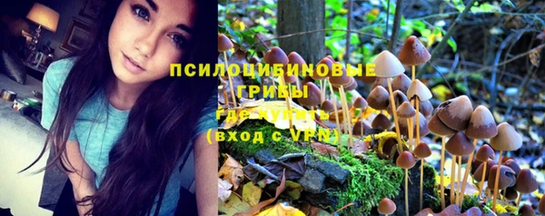 прущий лед Алексеевка