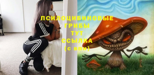 соль ск Алексин