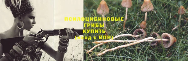 МДПВ Алзамай