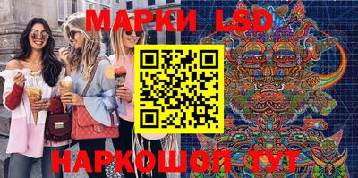 стафф Донецк