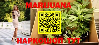 стафф Донецк
