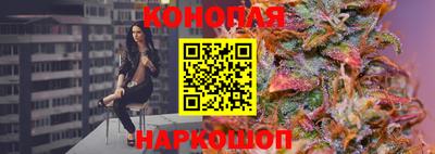 стафф Донецк