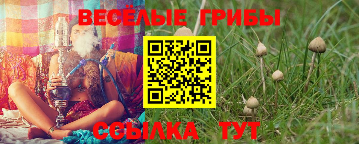 Галлюциногенные грибы GOLDEN TEACHER Звенигород