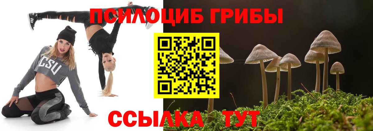 Псилоцибиновые грибы мицелий  Псилоцибиновые грибы мицелий  как найти   Звенигород  Вход с VPN 